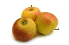 appel_elstar_opwit.jpg appel_elstar_opwit.jpg