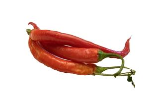 pepers.jpg pepers.jpg